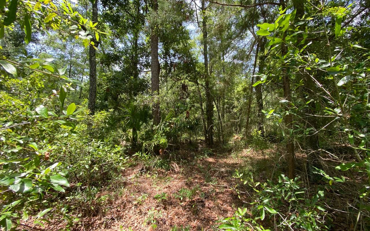 TBD 15TH AVENUE - Photo 1