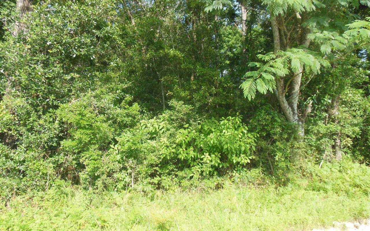 TBD 44TH LANE - Photo 1