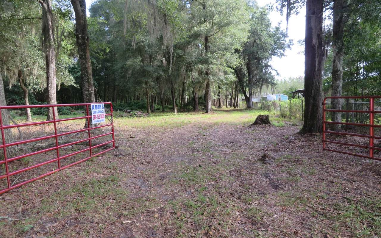 Boys Ranch Rd - Photo 1