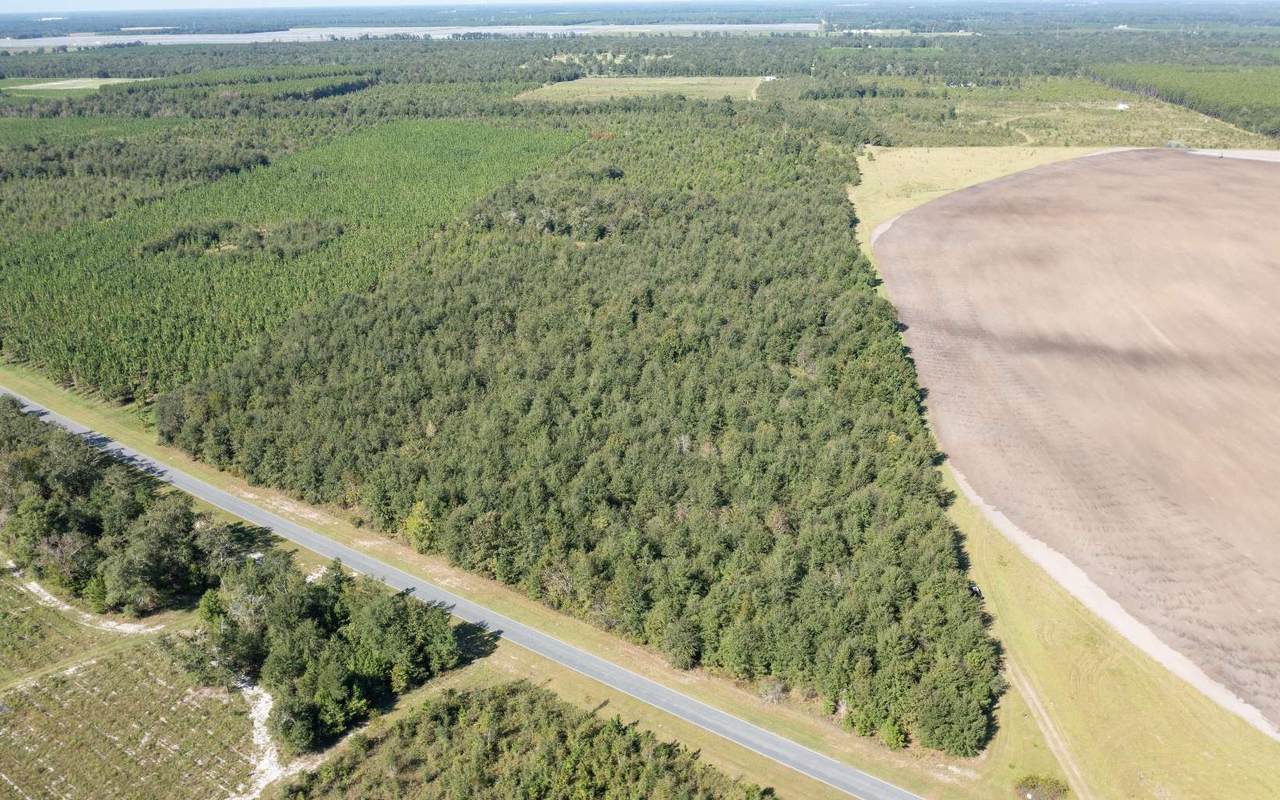 TBD Cr 141 (40 Acres) - Photo 1