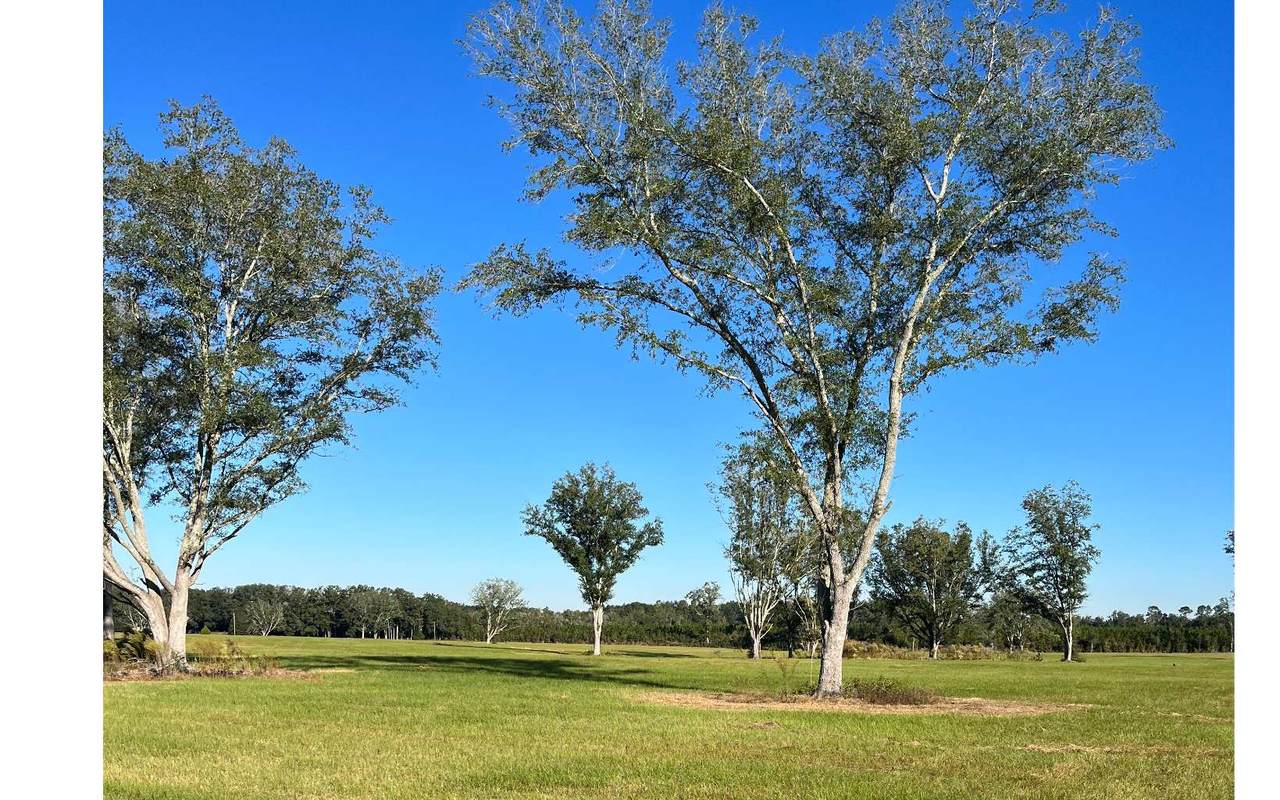 TBD Cr 252 - Photo 1