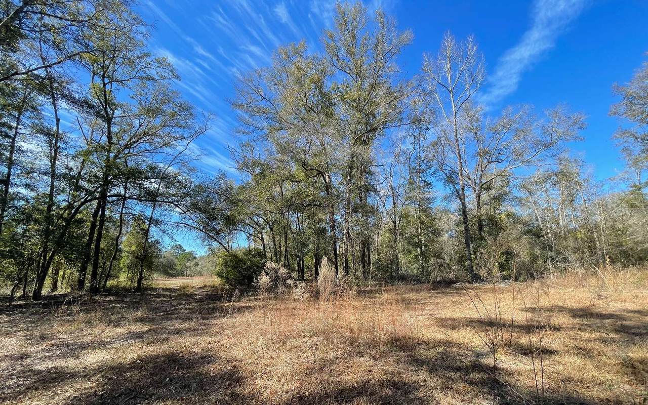 LOT 3 97TH RD - Photo 1