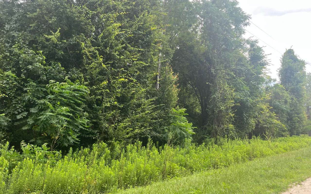 60TH AVE - LOT 31 - Photo 1