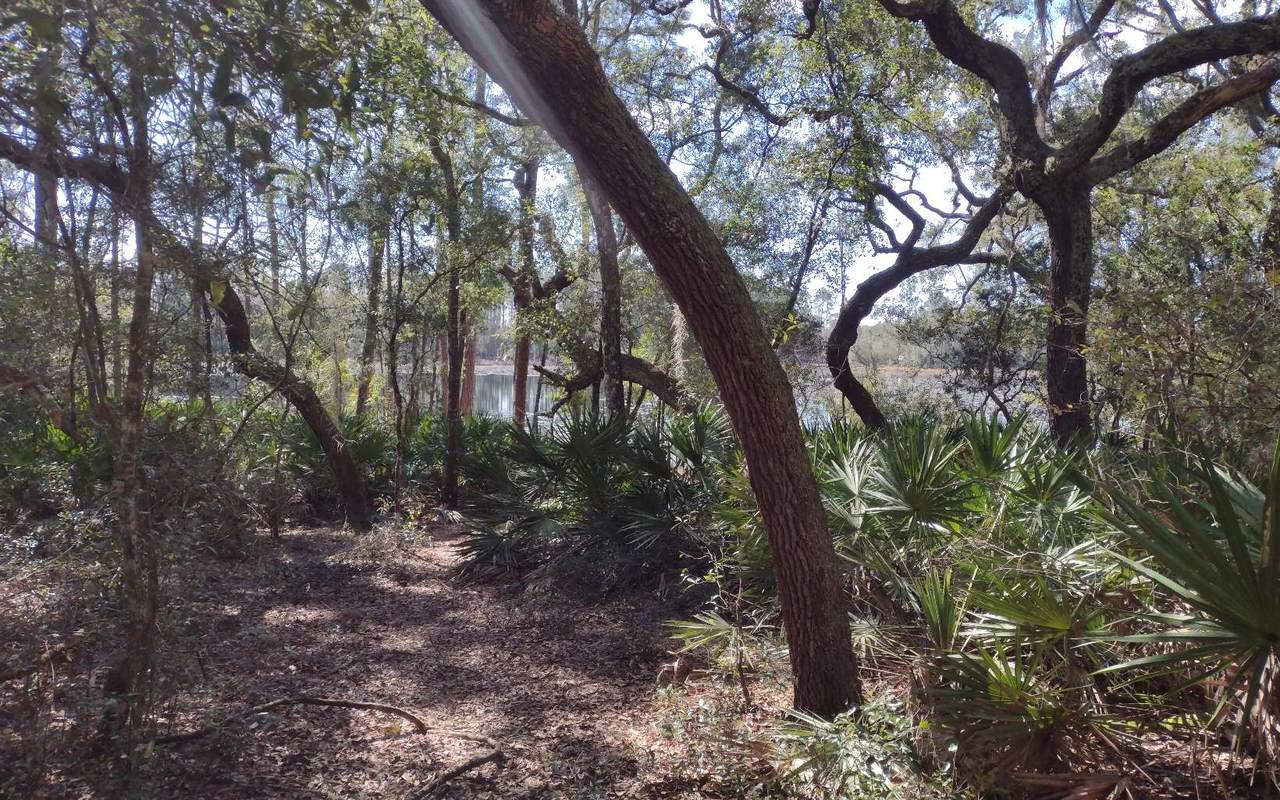 89 Tucker Lake Road - Photo 1