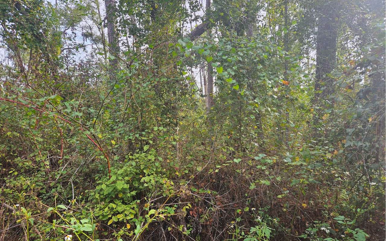  181ST ROAD - Photo 1