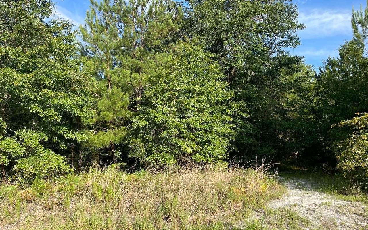 772 Country Lake Drive - Photo 1
