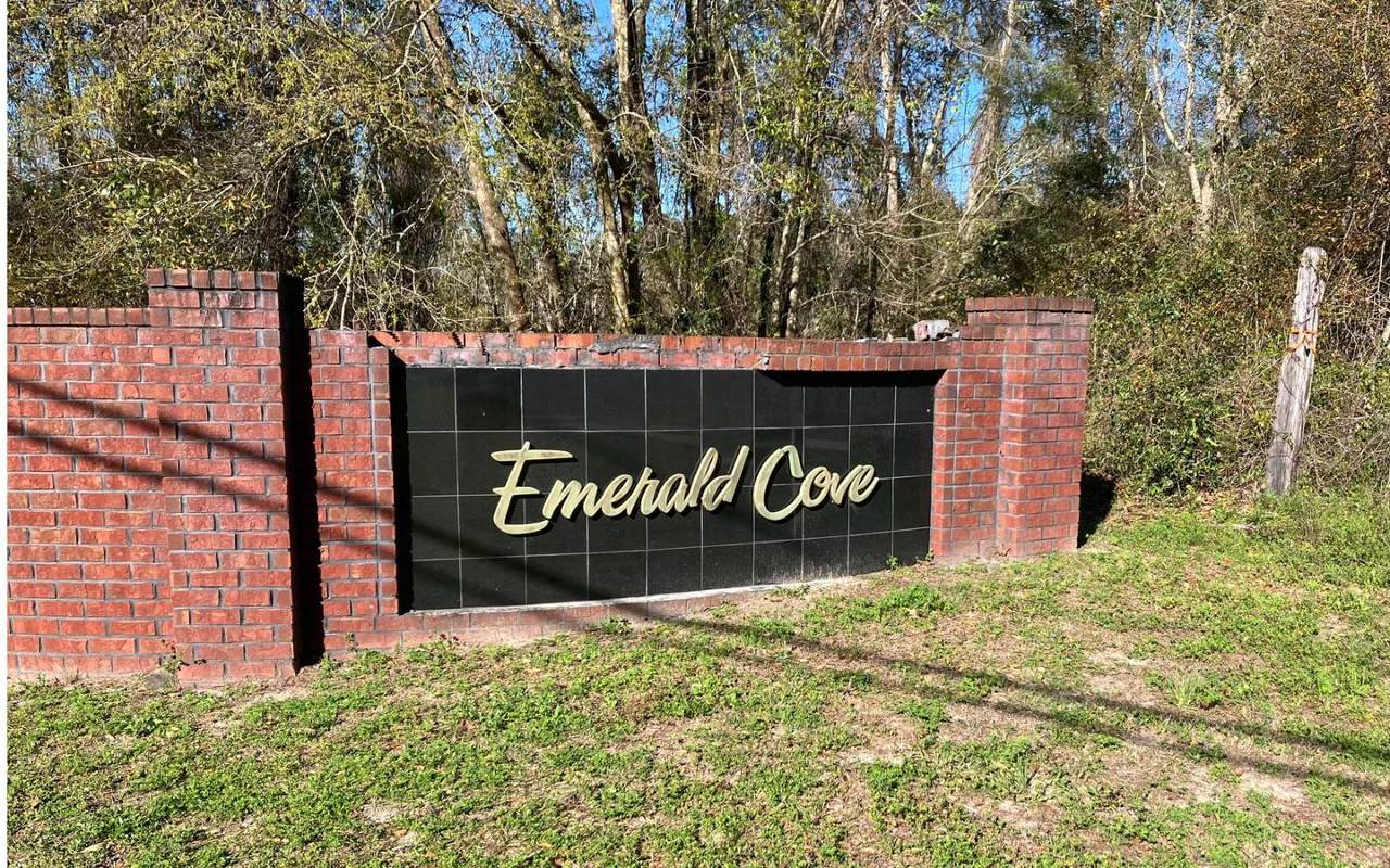 119 Woodleaf Ct - Photo 1