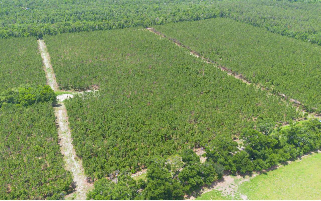 TBD-5 221ST RD - Photo 1