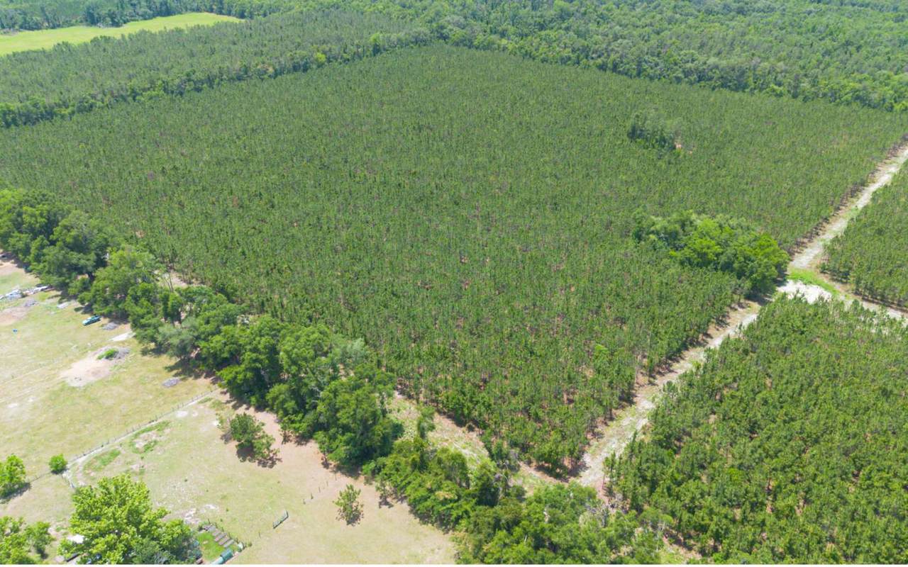TBD-6 221ST RD - Photo 1