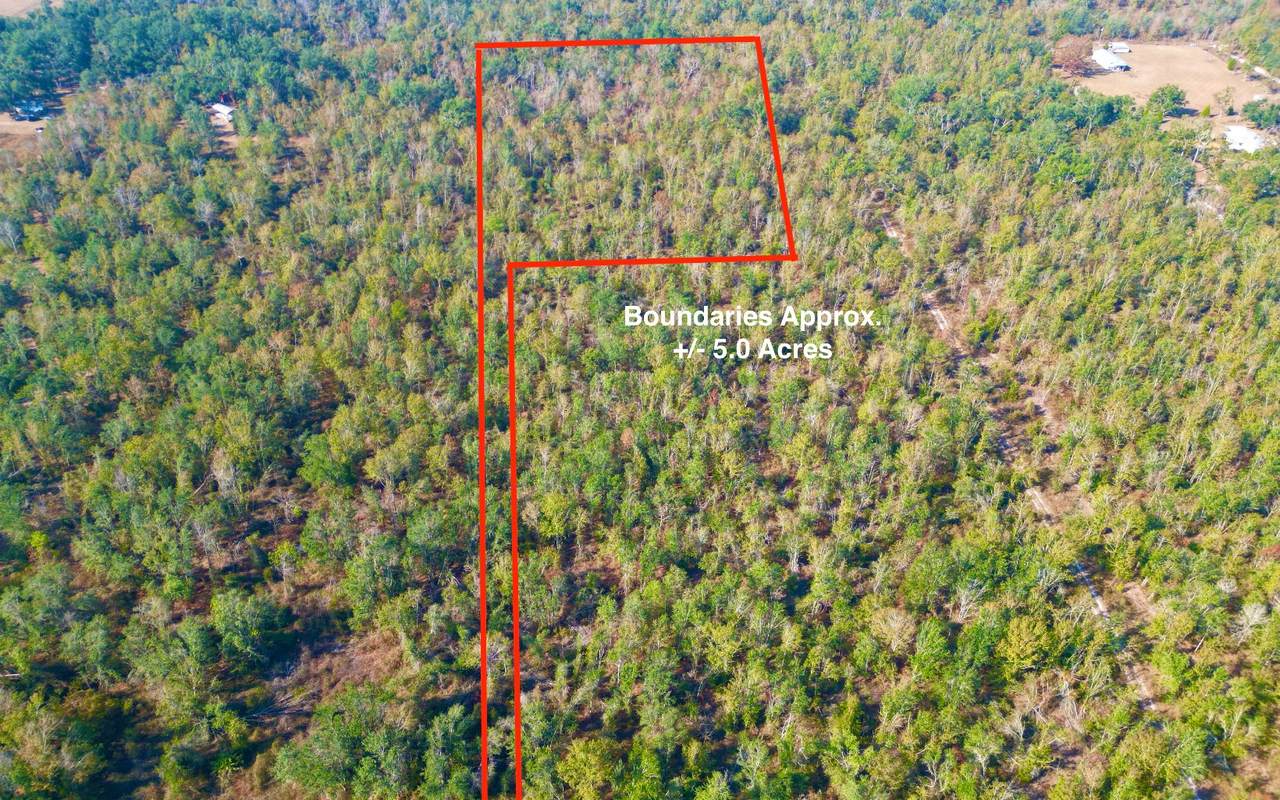 XXXX Kachina Ave - Photo 1