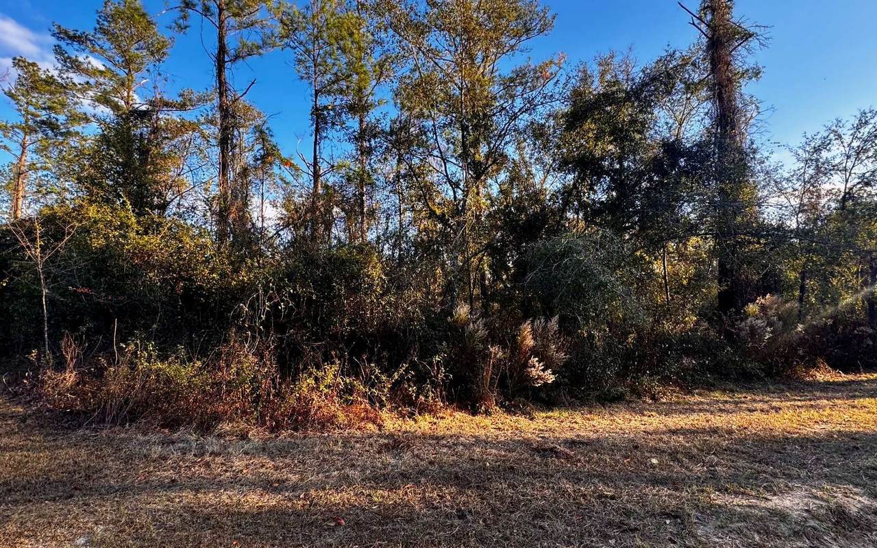 LOT38 30TH PLACE - Photo 1