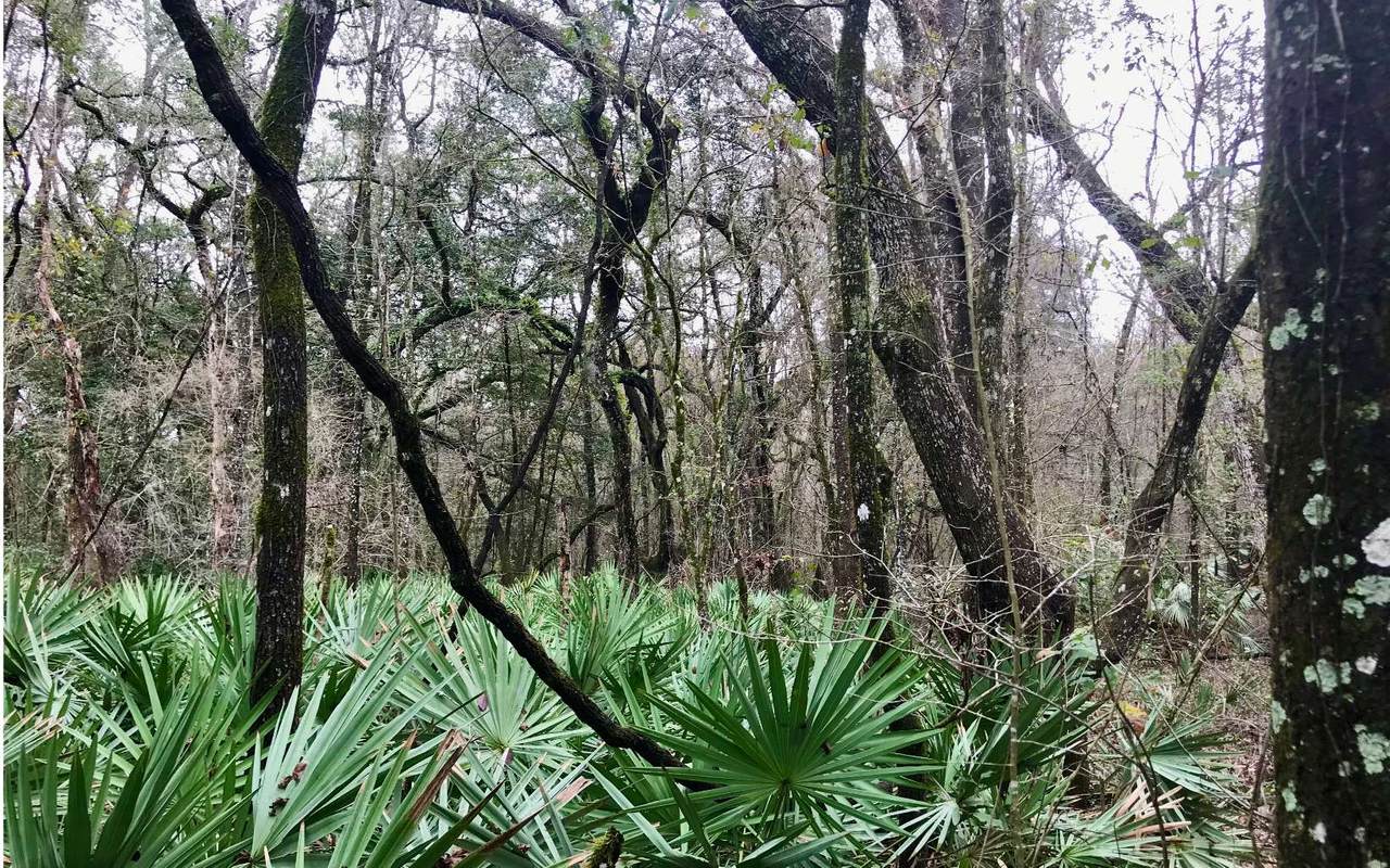 LOT37 139TH DR - Photo 1
