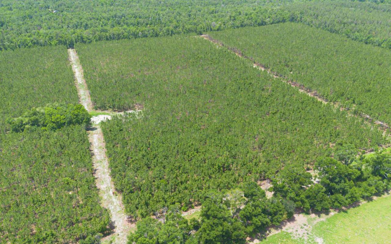 TBD-1 221ST RD - Photo 1