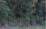 141 Woodleaf Court - Photo 4