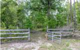 9689 County Road 136 - Photo 33