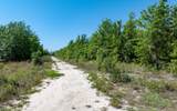 TBD Homestead Way - Photo 10