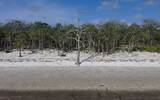  Se Hwy 357 - Photo 4