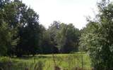  Hall Of Fame Dr (20) - Photo 3