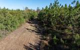 TBD 181ST RD - Photo 17