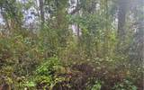  181ST ROAD - Photo 1