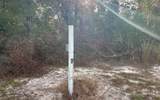 544 Kentucky Street - Photo 10