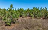 14797 Cr 252 - Photo 40
