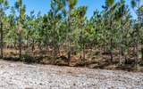 14797 Cr 252 - Photo 42