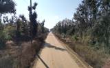 XXXX Kachina Ave - Photo 19