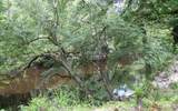 1889 79TH DRIVE - Photo 25