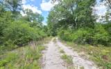 1196 Faulkner Drive - Photo 48