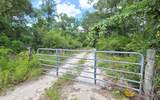 1196 Faulkner Drive - Photo 49