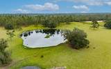 3928 69TH BLVD - Photo 4