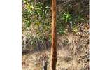 TBD-4 221ST RD - Photo 30