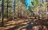 TBD-4 221ST RD - Photo 8