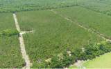 TBD-5 221ST RD - Photo 1