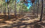 TBD-5 221ST RD - Photo 14