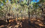 TBD-5 221ST RD - Photo 15