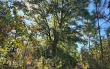 TBD-5 221ST RD - Photo 22