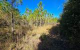 TBD-5 221ST RD - Photo 28