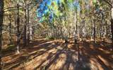 TBD-6 221ST RD - Photo 11