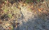 TBD-6 221ST RD - Photo 20
