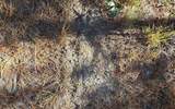 TBD-6 221ST RD - Photo 30
