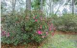 10438 Wildwood Drive - Photo 29