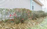 10438 Wildwood Drive - Photo 30