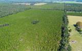 TBD-1 221ST RD - Photo 10