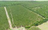 TBD-1 221ST RD - Photo 2