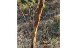 TBD-1 221ST RD - Photo 32