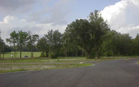 147 Woodbranch Lane #2 - Photo 1