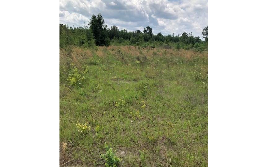 TBD Off Cr 141 - Photo 1