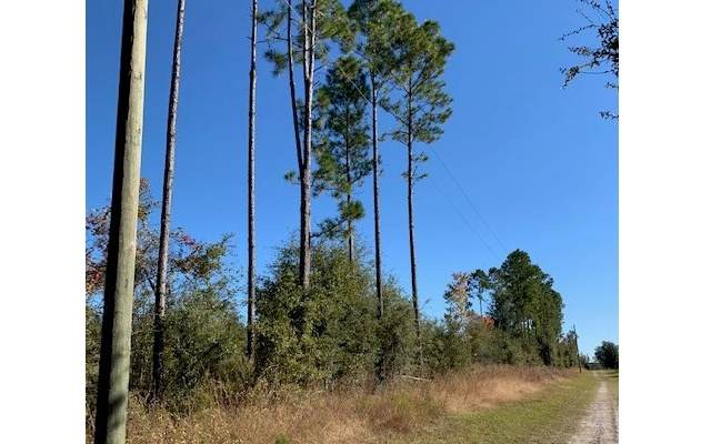 TBD 169TH RD - Photo 1